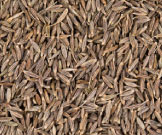 Cumin